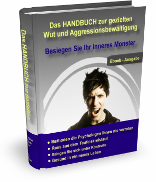 Aggressionsbewältigung Aggressionsbewältigung